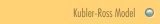 Kubler-Ross Model